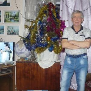 Георгий, 73 года, Йошкар-Ола
