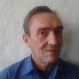 Николай Чернышов, 63 года, Бирск