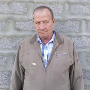 Виктор, 66 лет, Энгельс