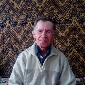 Виктор Синяев, 65 лет, Святославка