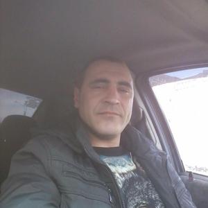 Николай, 48 лет, Тула