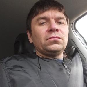Николай, 42 года, Казань