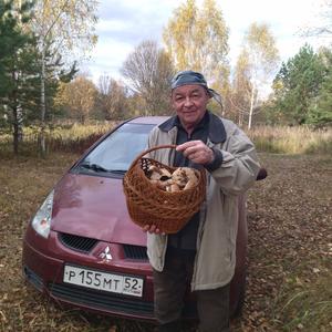 Анатолий, 69 лет, Нижний Новгород