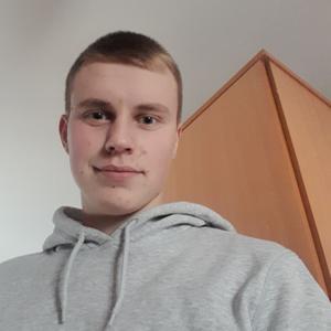 Михаил, 18 лет, Минск
