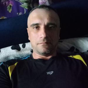 Серёга, 42 года, Белгород
