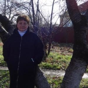 Раиса, 66 лет, Краснодар