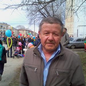 Владимир Шаврин, 66 лет, Березники