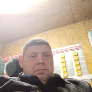Сергей, 48 лет, Сургут