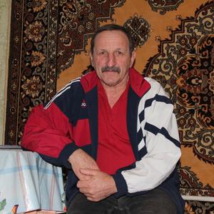Виктор, 64 года, Волоконовка
