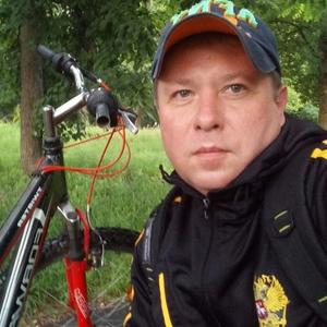 Александр Гайков, 49 лет, Брянск