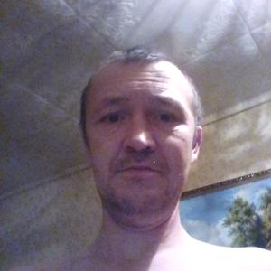Александр, 42 года, Красногорский