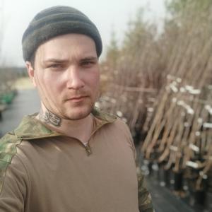 Александр, 26 лет, Гатчина