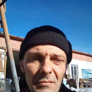 Николай Корнишин, 44 года, Каменка