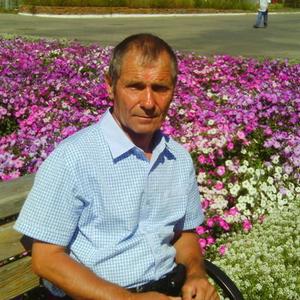 Владимир, 67 лет, Черниговка