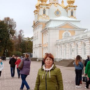Лариса, 64 года, Воронеж
