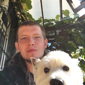 Дмитрий, 34 года, Люберцы