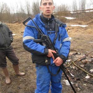 Николай, 37 лет, Александровск