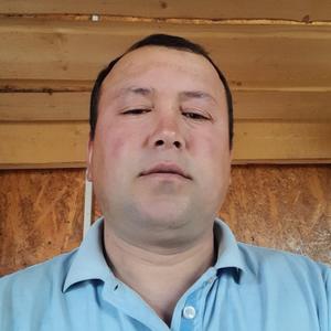 Azizbek Toshmatov, 31 год, Шымкент