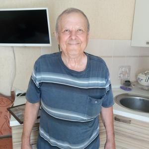 Парни в Тольятти: Владимир, 72 - ищет девушку из Тольятти