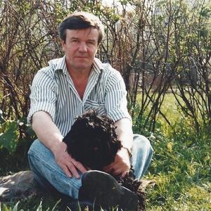 Юрий Балдин, 77 лет, Москва