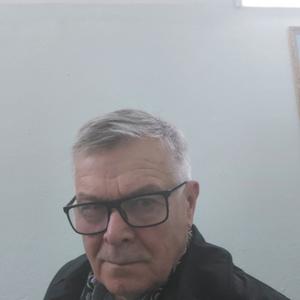 Александр, 79 лет, Краснодар