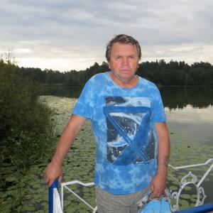 Александр Кудимов, 69 лет, Пенза