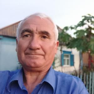 Николай, 67 лет, Шебекино