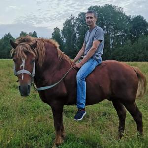 Вова, 39 лет, Мозырь