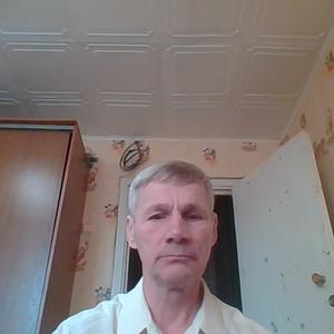 Парни в Йошкар-Оле: Владимир Чичиков, 63 - ищет девушку из Йошкар-Олы