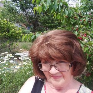 Галина, 64 года, Краснодар