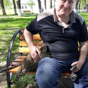 Владимир, 69 лет, Александров