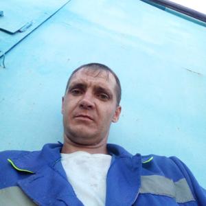 Сергей Петрович, 36 лет, Москва