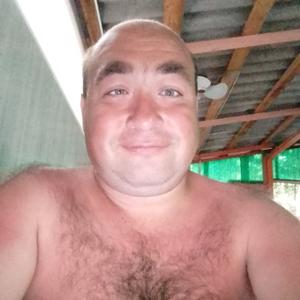 Денис, 38 лет, Ростов-на-Дону