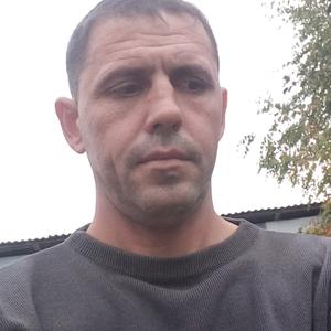 Саша, 42 года, Минск