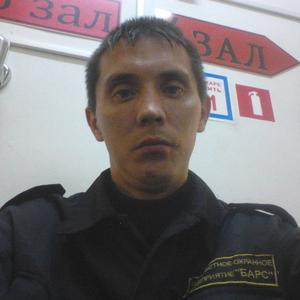 Радик Николаев, 39 лет, Йошкар-Ола