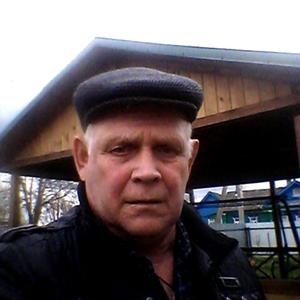 Пётр, 69 лет, Егорьевск