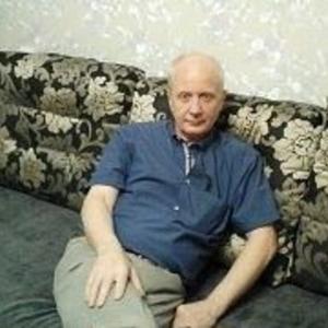 Игорь, 71 год, Лыткарино