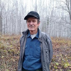 Александр, 74 года, Ульяновск