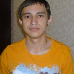 Николай, 29 лет, Йошкар-Ола