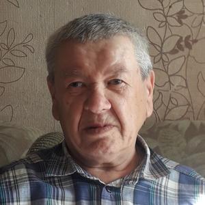 Николай, 71 год, Шуя
