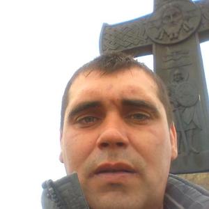 Владимир Шилов, 36 лет, Щигры
