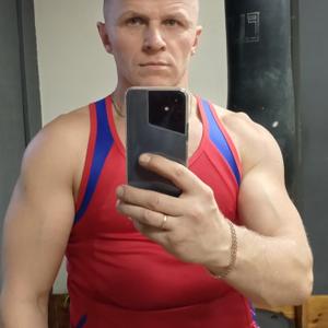 Алексей Крашенинин, 44 года, Челябинск