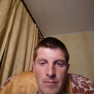 Саша Павлов, 42 года, Владимир