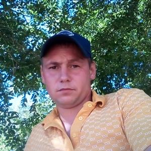 Парни в Тоцкое: Сергей, 33 - ищет девушку из Тоцкое