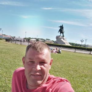 Александр Смирнов, 43 года, Вологда