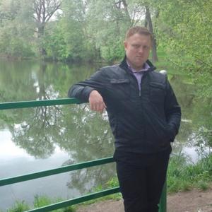 Сергей Степанов, 39 лет, Тула