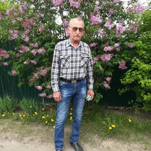 Станислав, 68 лет, Липецк