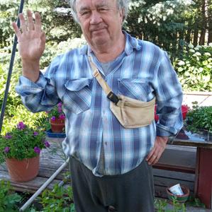 Николай, 61 год, Санкт-Петербург