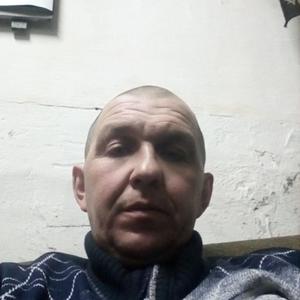 Евгений Борзов, 44 года, Мамонтово