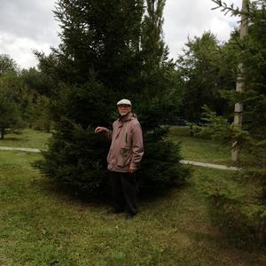Парни в Магнитогорске: Виктор Зеляков, 72 - ищет девушку из Магнитогорска
